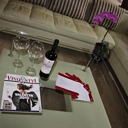 Villa Vila Prag